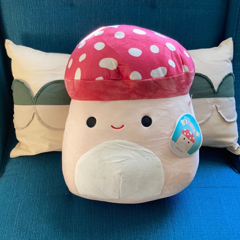 Malcolm the mushroom Squishmallow 12 inches NWT